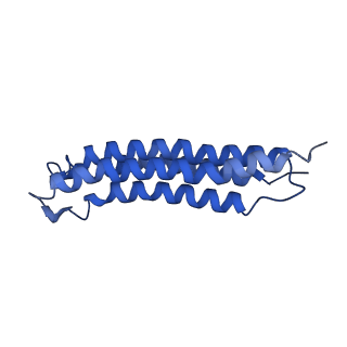 0645_6o7u_h_v1-3
Saccharomyces cerevisiae V-ATPase Stv1-VO