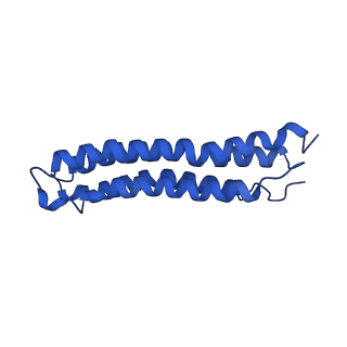 0645_6o7u_i_v1-3
Saccharomyces cerevisiae V-ATPase Stv1-VO