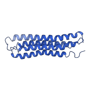 0645_6o7u_j_v1-4
Saccharomyces cerevisiae V-ATPase Stv1-VO