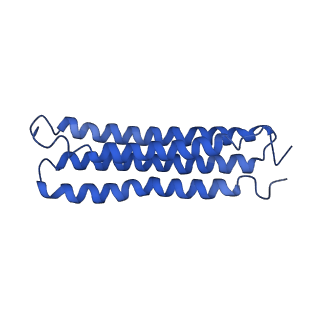 0645_6o7u_k_v1-4
Saccharomyces cerevisiae V-ATPase Stv1-VO