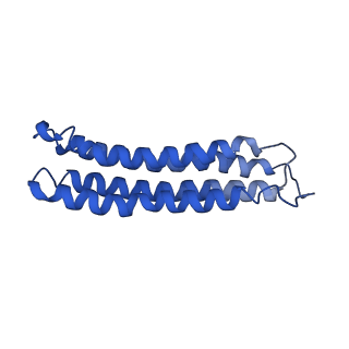 0645_6o7u_l_v1-3
Saccharomyces cerevisiae V-ATPase Stv1-VO