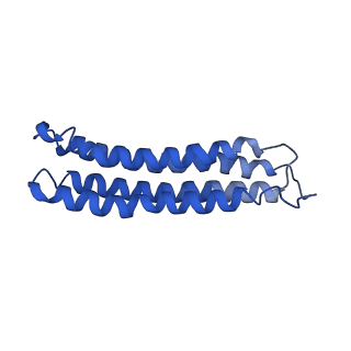 0645_6o7u_l_v1-4
Saccharomyces cerevisiae V-ATPase Stv1-VO