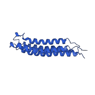 0645_6o7u_m_v1-3
Saccharomyces cerevisiae V-ATPase Stv1-VO