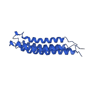 0645_6o7u_m_v1-4
Saccharomyces cerevisiae V-ATPase Stv1-VO