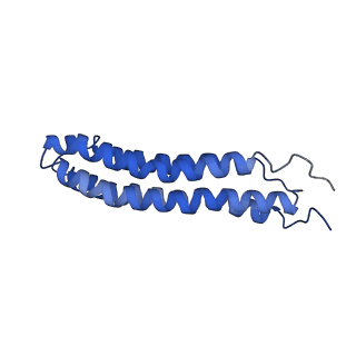 0645_6o7u_n_v1-3
Saccharomyces cerevisiae V-ATPase Stv1-VO
