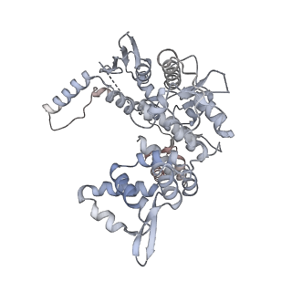 12743_7o72_2_v1-2
Yeast RNA polymerase II transcription pre-initiation complex with closed promoter DNA