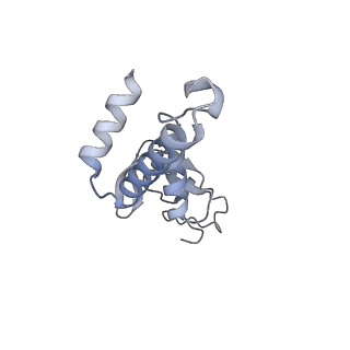 12743_7o72_3_v1-2
Yeast RNA polymerase II transcription pre-initiation complex with closed promoter DNA