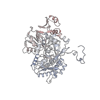 12743_7o72_7_v1-2
Yeast RNA polymerase II transcription pre-initiation complex with closed promoter DNA