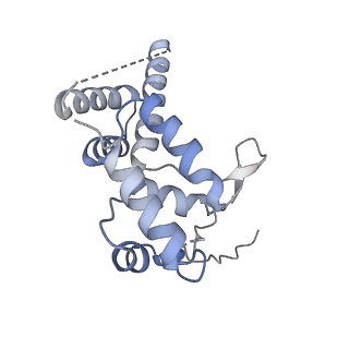 12743_7o72_D_v1-2
Yeast RNA polymerase II transcription pre-initiation complex with closed promoter DNA