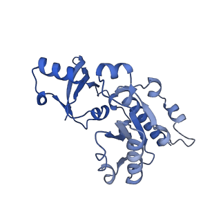12743_7o72_E_v1-2
Yeast RNA polymerase II transcription pre-initiation complex with closed promoter DNA