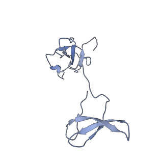 12743_7o72_I_v1-2
Yeast RNA polymerase II transcription pre-initiation complex with closed promoter DNA
