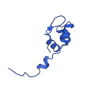 12743_7o72_J_v1-2
Yeast RNA polymerase II transcription pre-initiation complex with closed promoter DNA