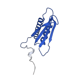 12743_7o72_K_v1-2
Yeast RNA polymerase II transcription pre-initiation complex with closed promoter DNA