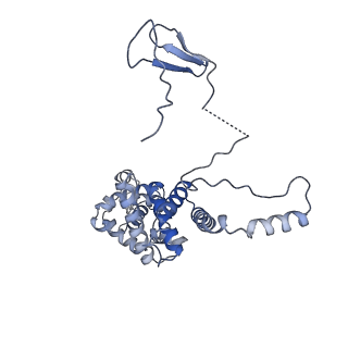 12743_7o72_M_v1-2
Yeast RNA polymerase II transcription pre-initiation complex with closed promoter DNA