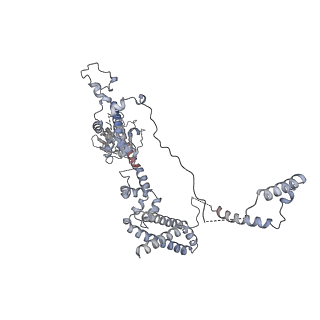 12744_7o73_1_v1-2
Yeast RNA polymerase II transcription pre-initiation complex with closed distorted promoter DNA