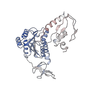 12744_7o73_6_v1-2
Yeast RNA polymerase II transcription pre-initiation complex with closed distorted promoter DNA