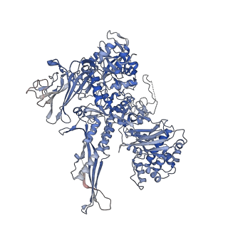 12744_7o73_B_v1-2
Yeast RNA polymerase II transcription pre-initiation complex with closed distorted promoter DNA