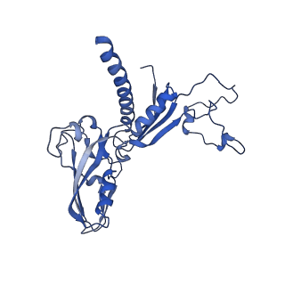 12744_7o73_C_v1-2
Yeast RNA polymerase II transcription pre-initiation complex with closed distorted promoter DNA