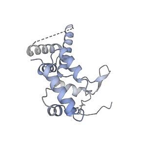 12744_7o73_D_v1-2
Yeast RNA polymerase II transcription pre-initiation complex with closed distorted promoter DNA