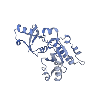 12744_7o73_E_v1-2
Yeast RNA polymerase II transcription pre-initiation complex with closed distorted promoter DNA