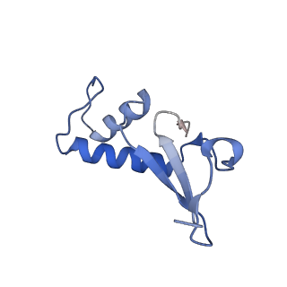 12744_7o73_F_v1-2
Yeast RNA polymerase II transcription pre-initiation complex with closed distorted promoter DNA