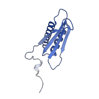 12744_7o73_K_v1-2
Yeast RNA polymerase II transcription pre-initiation complex with closed distorted promoter DNA