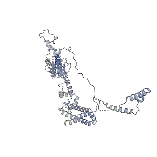 12745_7o75_1_v1-2
Yeast RNA polymerase II transcription pre-initiation complex with open promoter DNA