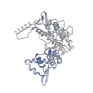 12745_7o75_2_v1-2
Yeast RNA polymerase II transcription pre-initiation complex with open promoter DNA