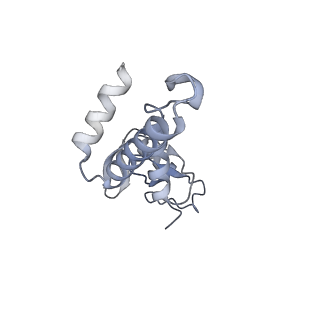 12745_7o75_3_v1-2
Yeast RNA polymerase II transcription pre-initiation complex with open promoter DNA