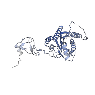 12745_7o75_4_v1-2
Yeast RNA polymerase II transcription pre-initiation complex with open promoter DNA