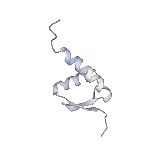 12745_7o75_5_v1-2
Yeast RNA polymerase II transcription pre-initiation complex with open promoter DNA