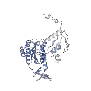 12745_7o75_6_v1-2
Yeast RNA polymerase II transcription pre-initiation complex with open promoter DNA
