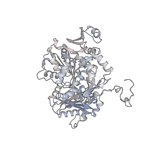 12745_7o75_7_v1-2
Yeast RNA polymerase II transcription pre-initiation complex with open promoter DNA