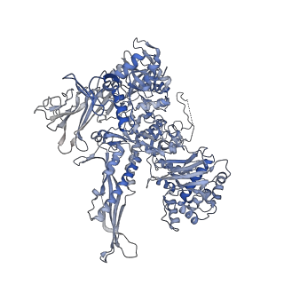 12745_7o75_B_v1-2
Yeast RNA polymerase II transcription pre-initiation complex with open promoter DNA