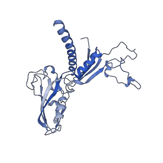 12745_7o75_C_v1-2
Yeast RNA polymerase II transcription pre-initiation complex with open promoter DNA
