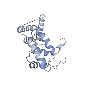 12745_7o75_D_v1-2
Yeast RNA polymerase II transcription pre-initiation complex with open promoter DNA