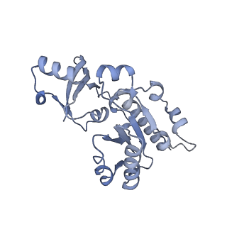 12745_7o75_E_v1-2
Yeast RNA polymerase II transcription pre-initiation complex with open promoter DNA