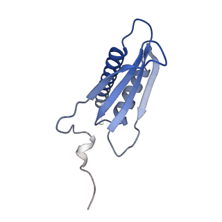12745_7o75_K_v1-2
Yeast RNA polymerase II transcription pre-initiation complex with open promoter DNA