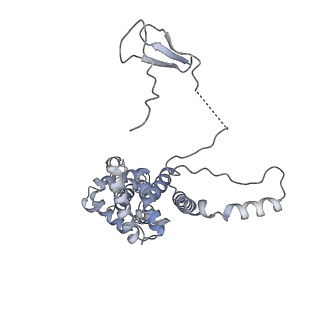 12745_7o75_M_v1-2
Yeast RNA polymerase II transcription pre-initiation complex with open promoter DNA