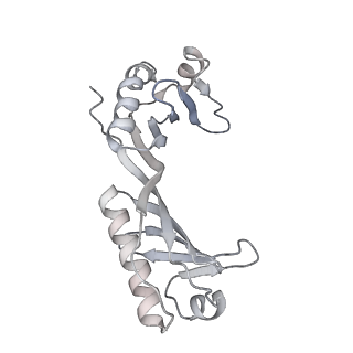 12745_7o75_O_v1-2
Yeast RNA polymerase II transcription pre-initiation complex with open promoter DNA