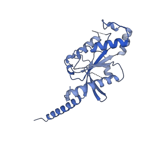 12746_7o7f_A_v1-1
Structural basis of the activation of the CC chemokine receptor 5 by a chemokine agonist