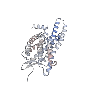 12746_7o7f_C_v1-1
Structural basis of the activation of the CC chemokine receptor 5 by a chemokine agonist
