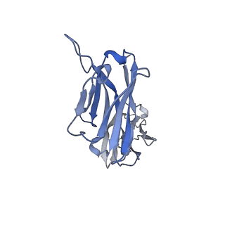 12746_7o7f_H_v1-1
Structural basis of the activation of the CC chemokine receptor 5 by a chemokine agonist