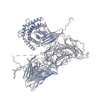 12753_7o7q_A_v1-1
(h-alpha2M)4 trypsin-activated state