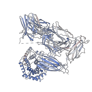 12753_7o7q_B_v1-1
(h-alpha2M)4 trypsin-activated state