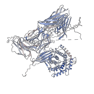 12753_7o7q_C_v1-1
(h-alpha2M)4 trypsin-activated state