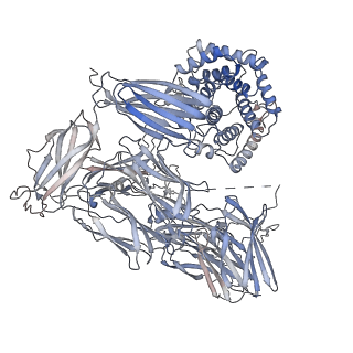 12753_7o7q_D_v1-1
(h-alpha2M)4 trypsin-activated state