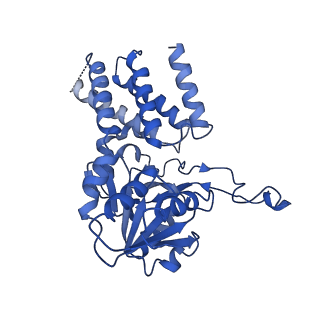 0649_6o81_C_v1-3
Electron cryo-microscopy of the eukaryotic translation initiation factor 2B bound to translation initiation factor 2 from Homo sapiens