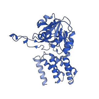 0649_6o81_D_v1-3
Electron cryo-microscopy of the eukaryotic translation initiation factor 2B bound to translation initiation factor 2 from Homo sapiens