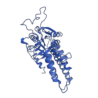 0649_6o81_F_v1-3
Electron cryo-microscopy of the eukaryotic translation initiation factor 2B bound to translation initiation factor 2 from Homo sapiens